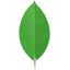 MongoDB